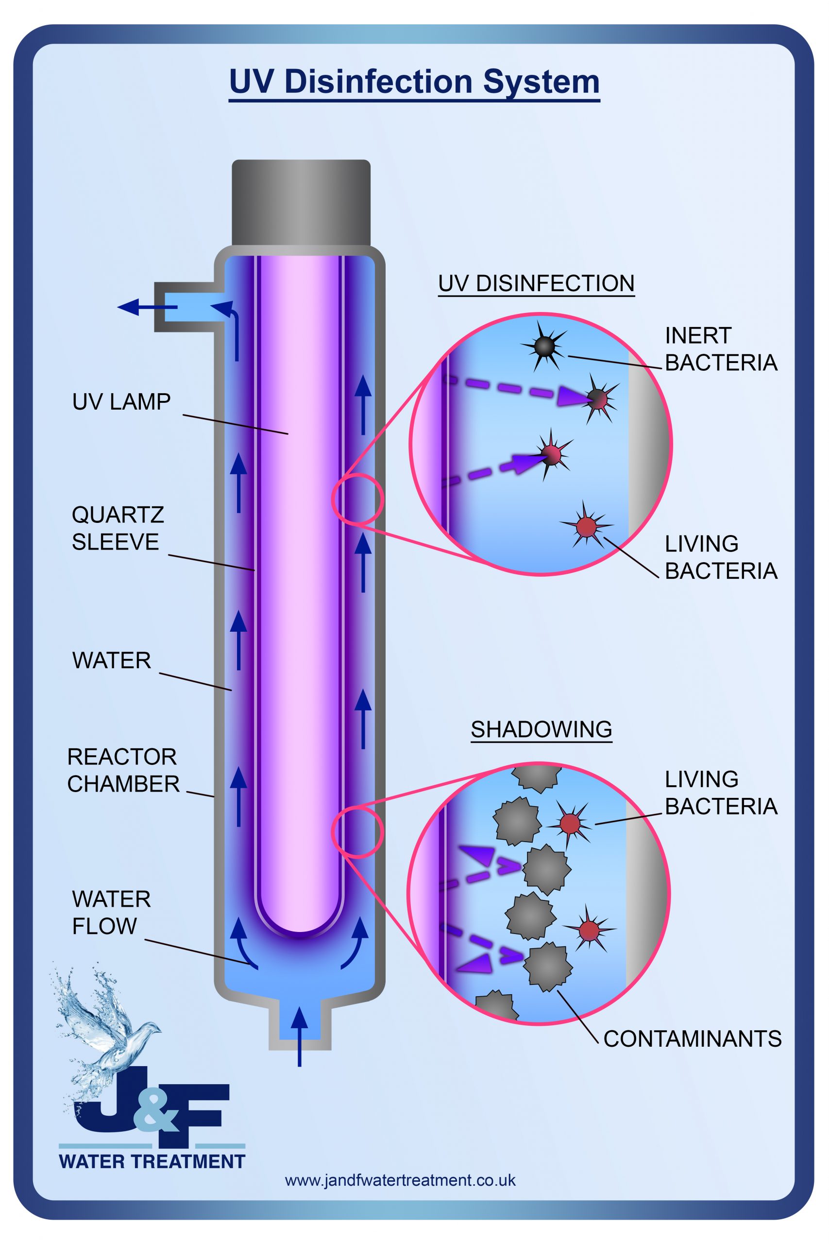 How Does UV Disinfection Work?